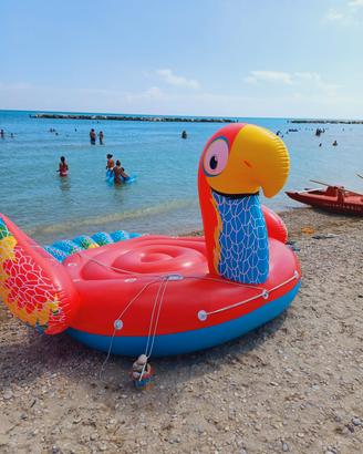 gommone  a forma di pappagallo 