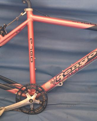 telaio bici fuoristrada donna