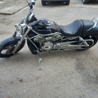 Harley Davidson Vrod 1250 125cv