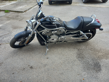 Harley Davidson Vrod 1250 125cv