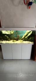 Acquario Juwel Rio 240