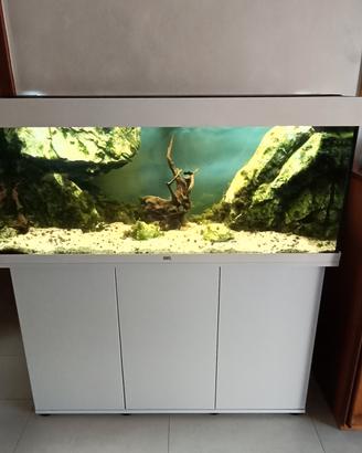 Acquario Juwel Rio 240