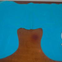 Cuscino da viaggio gonfiabile