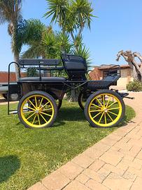 carrozza marathon 