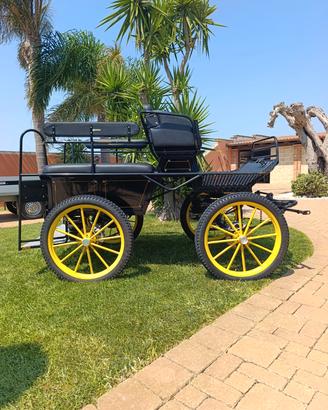 carrozza marathon 