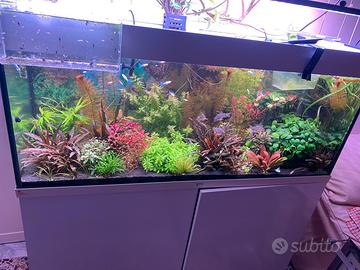 Potature piante acquario