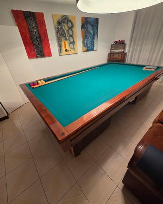 biliardo professionale 