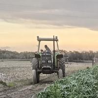 agrifull 80 oppure uguale fiat 80-66