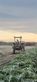 agrifull 80 oppure uguale fiat 80-66
