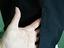 Immagine 6