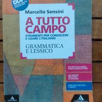 A tutto campo strumenti per conoscere e usare l'it