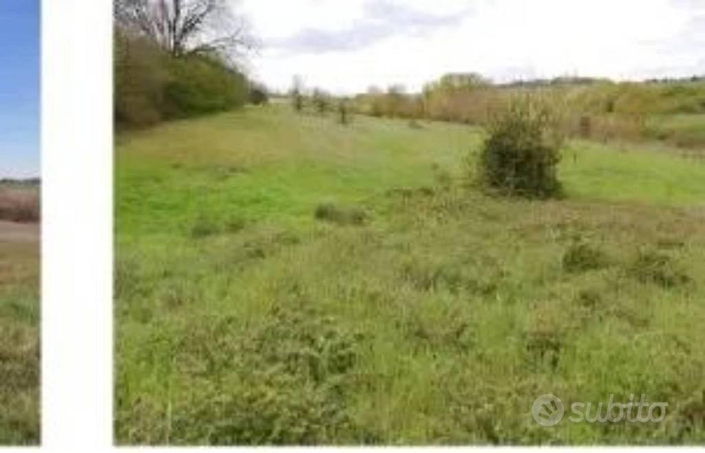 Immobile in asta di 78642 m² a Cortona - Vista 3