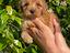 Immagine 4