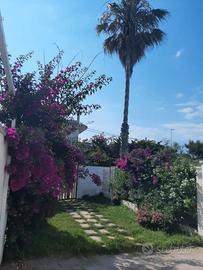 LAST MINUTE Salento Torre Chianca casa vacanza