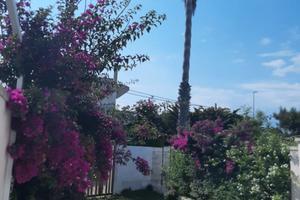 LAST MINUTE Salento Torre Chianca casa vacanza