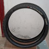 Coppia gomme bicicletta