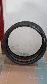 Coppia gomme bicicletta