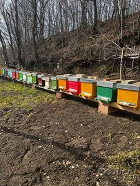 Alveari completi di casetta e melari