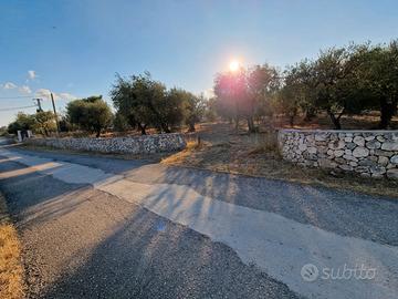 Terreno Agricolo Edificabile Località Grotte dell'