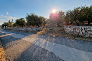 Terreno Agricolo Edificabile Località Grotte dell'