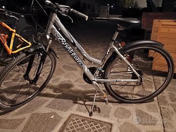 city bike donna Olympia 