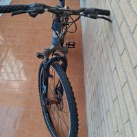 bicicletta da passeggio 