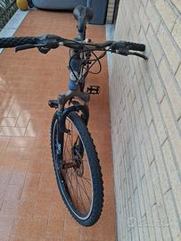 bicicletta da passeggio 