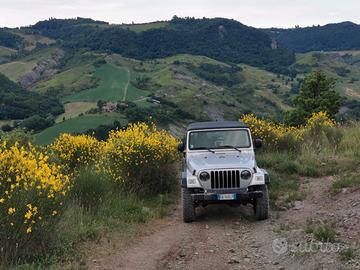 JEEP Wrangler 2.4 cat Sport