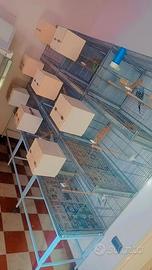 batteria con 9 gabbie  