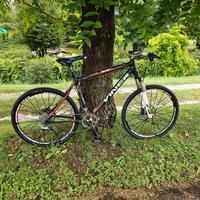 Viner Pulsar Carbonio 26" 