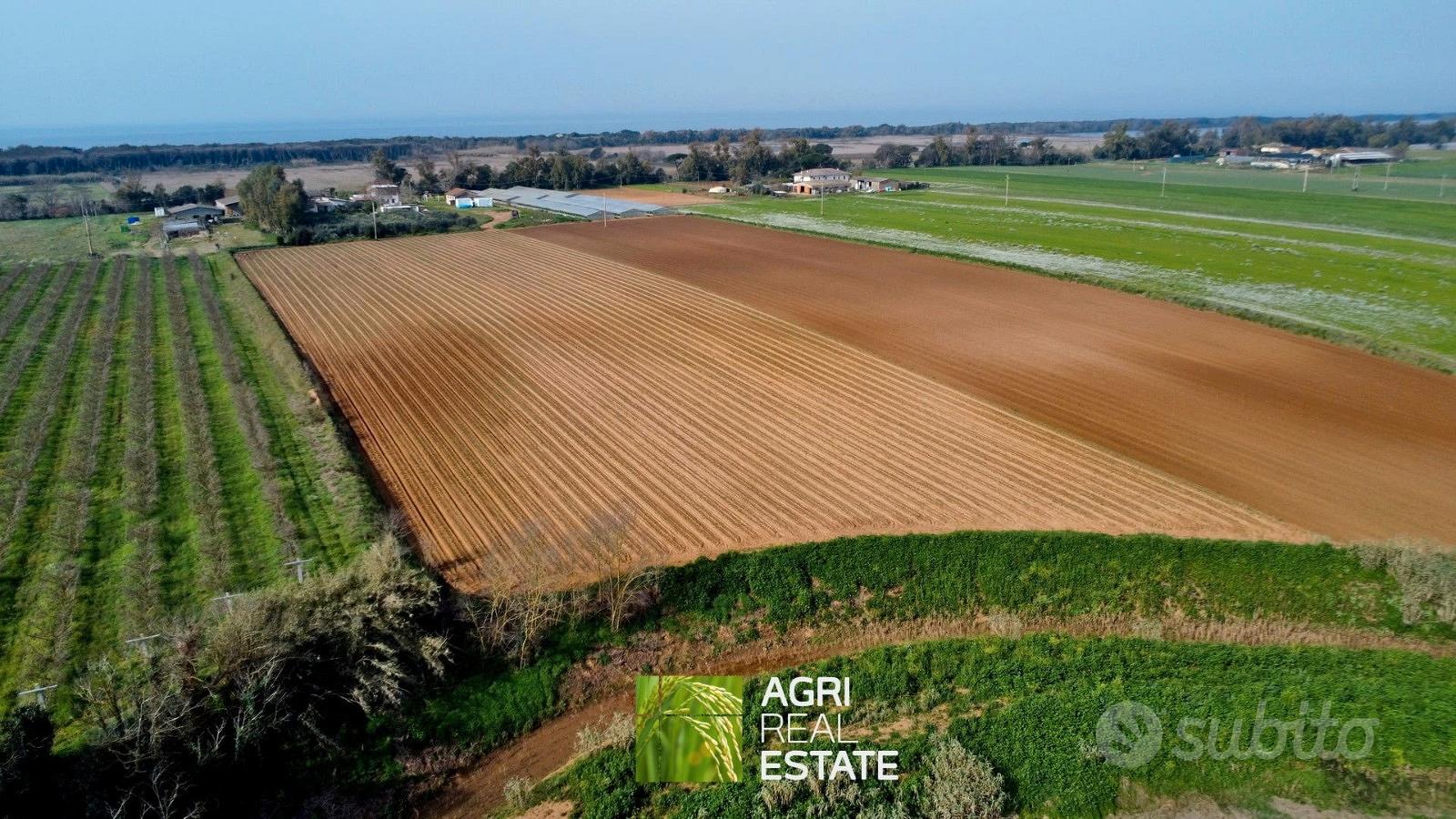 Terreno agricolo di 2,3 HA ideale per serre - Vista 4