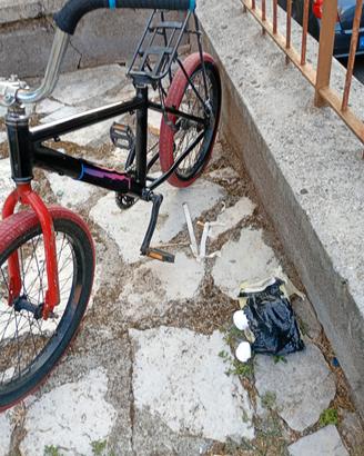 bici brasiliana 