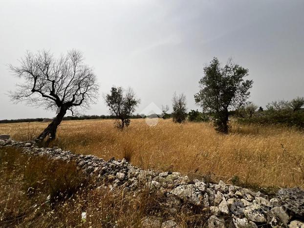 TER. AGRICOLO A CAVALLINO