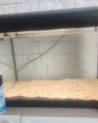 acquario 30 litri newa