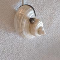 conchiglia saliera in madreperla 
