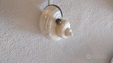 conchiglia saliera in madreperla 