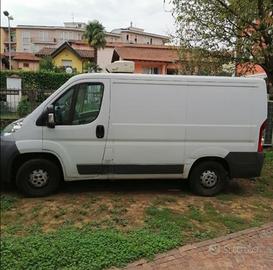 Fiat Ducato Frigo 
