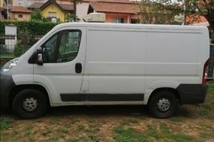 Fiat Ducato Frigo 