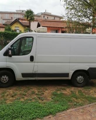 Fiat Ducato Frigo 