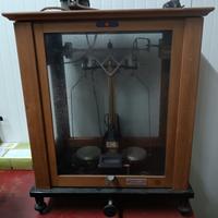 bilancia august sauter