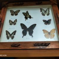 cornice legno marrone con vetro 