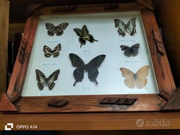 cornice legno marrone con vetro 