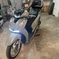 Sh 150 immacolato