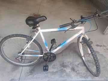 Mountain bike 