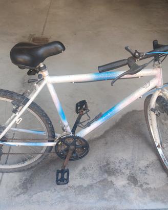Mountain bike 