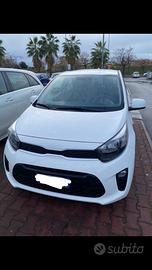 Kia picanto 2024