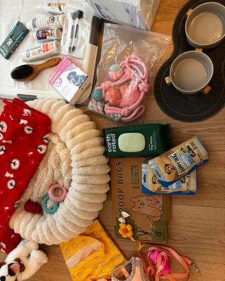 Set completo per cuccioli di cane