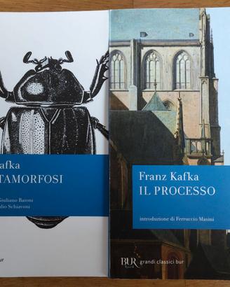 Franz Kafka. Il Processo + La Metamorfosi 8,5€