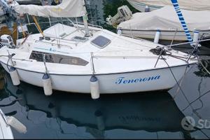 Barca a Vela Altura A601