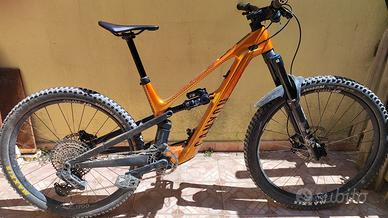 Canyon Spectral ONfly (Ebike-Emtb-Enduro)
